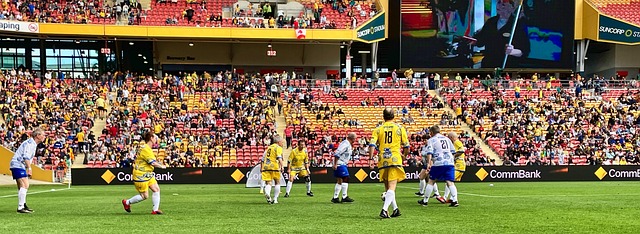 自己行為的 自己行為的