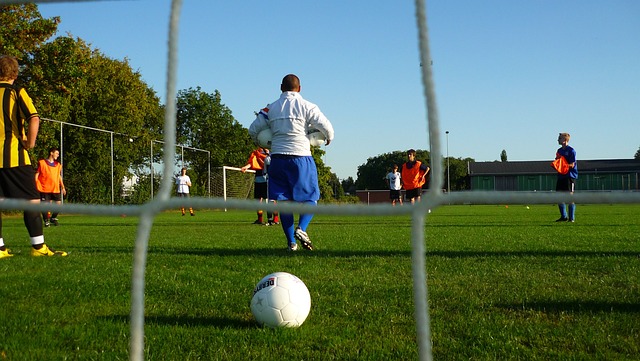 数据显示 数据显示