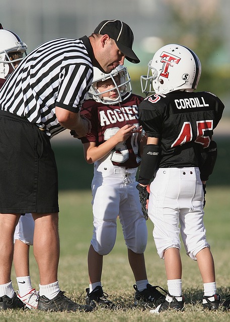 丹麦用自己 丹麦用自己