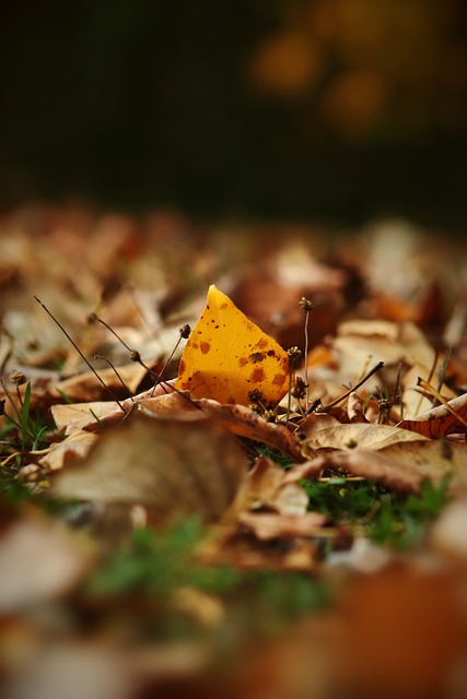 马筱梅提到 马筱梅提到