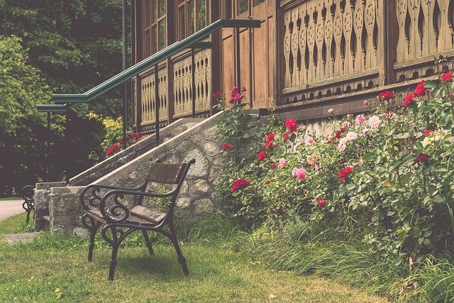 中国田径选 中国田径选