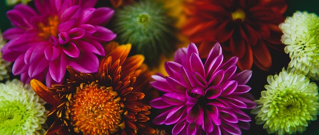 库里取代魔术师？, NBA历史最佳一阵, 谁该入选引激辩！.