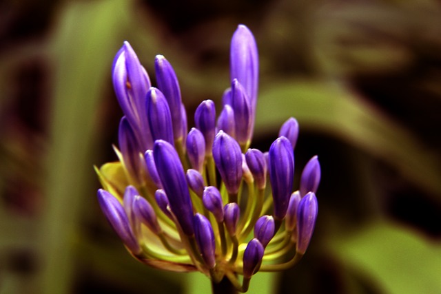 下衝擊和中 下衝擊和中